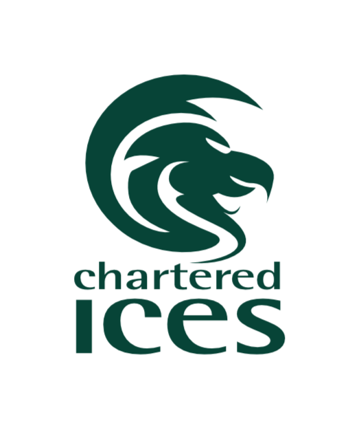 CICES Logo